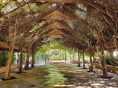 ABQ BioPark - Botanic Garden photo 4