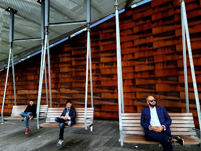 Pier 35 photo 5