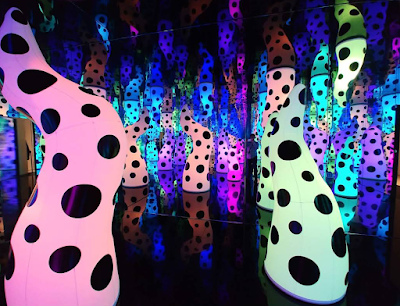 Tampa Museum of Art photo 5