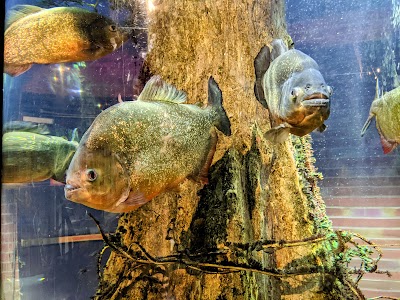 Greater Cleveland Aquarium photo 5