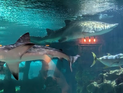 Greater Cleveland Aquarium photo 3