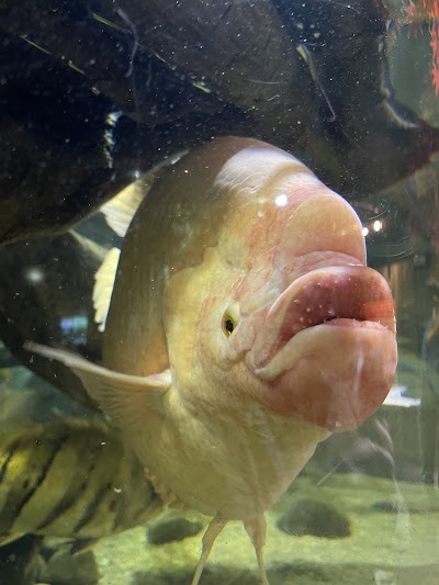 Greater Cleveland Aquarium photo 4
