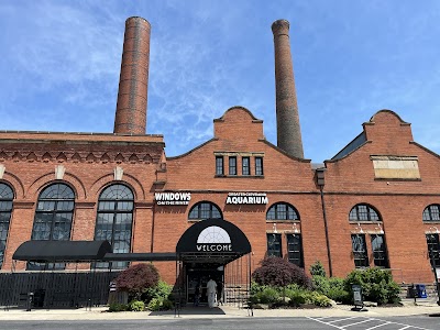Greater Cleveland Aquarium photo 2