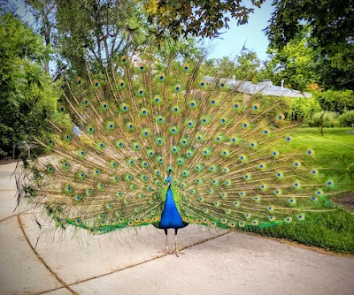 Tracy Aviary at Liberty Park photo 4