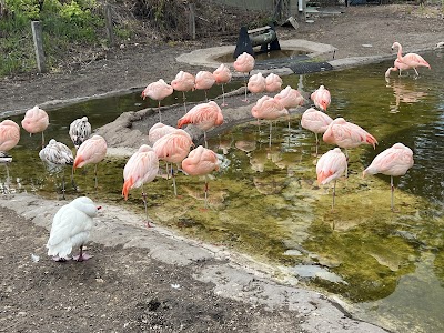 Tracy Aviary at Liberty Park photo 3