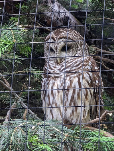 Tracy Aviary at Liberty Park photo 5